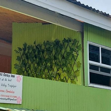 Salz Cozy Inn Roseau Dış mekan fotoğraf