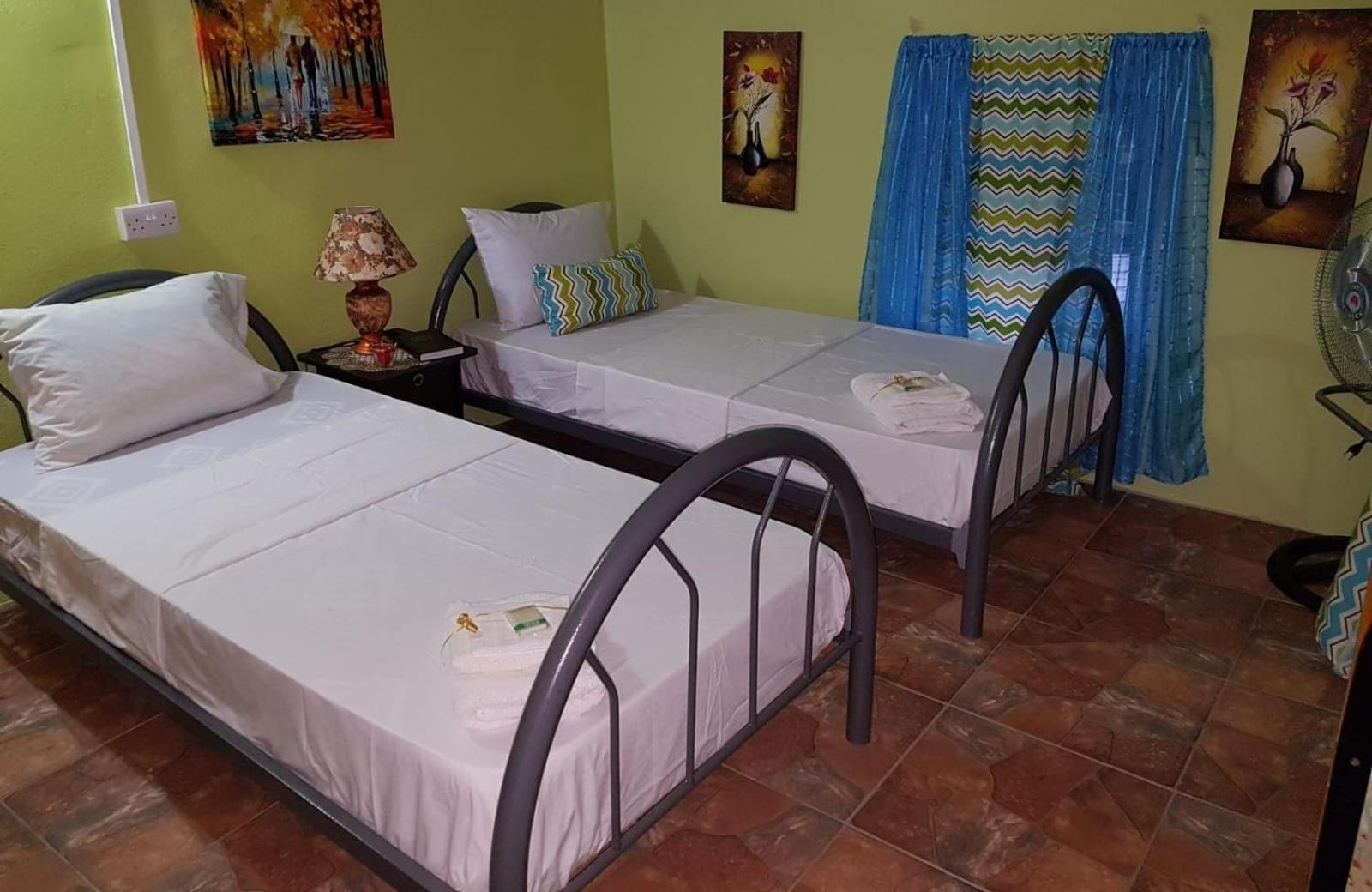 Salz Cozy Inn Roseau Dış mekan fotoğraf