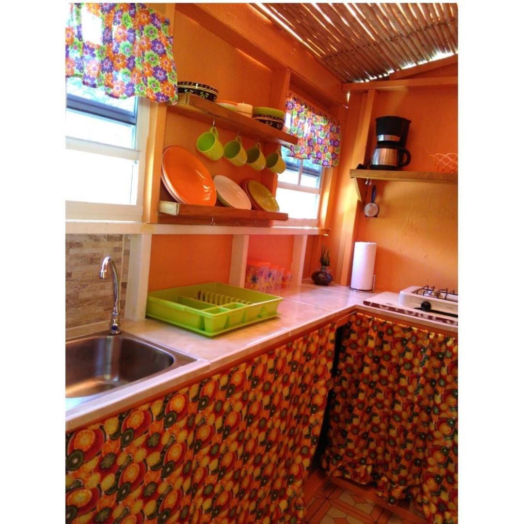 Salz Cozy Inn Roseau Dış mekan fotoğraf