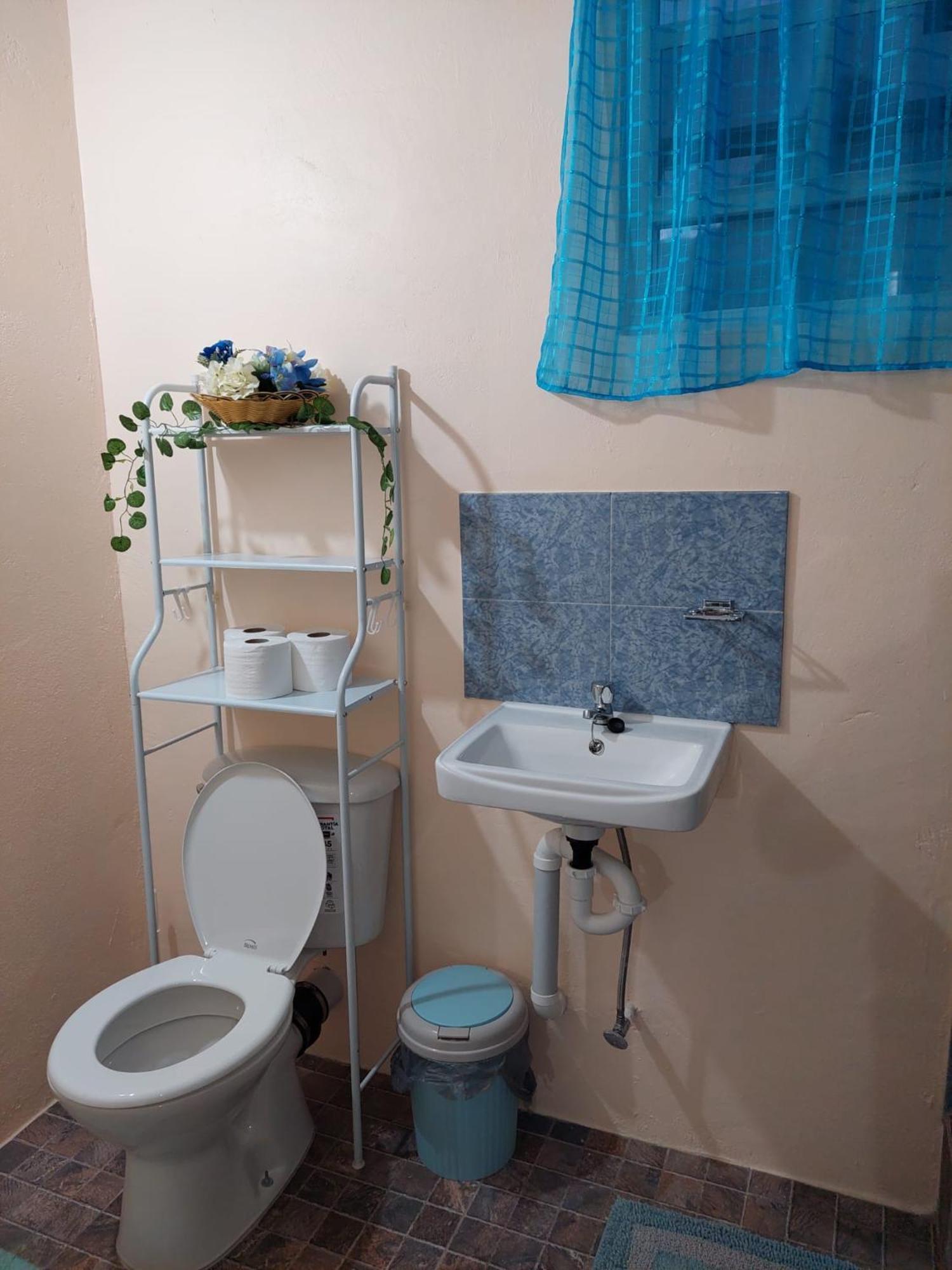 Salz Cozy Inn Roseau Dış mekan fotoğraf